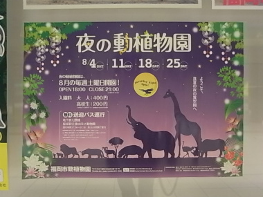 $福岡市動物園の夜の動植物園広告
